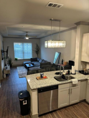 Luxury Buckhead apartment